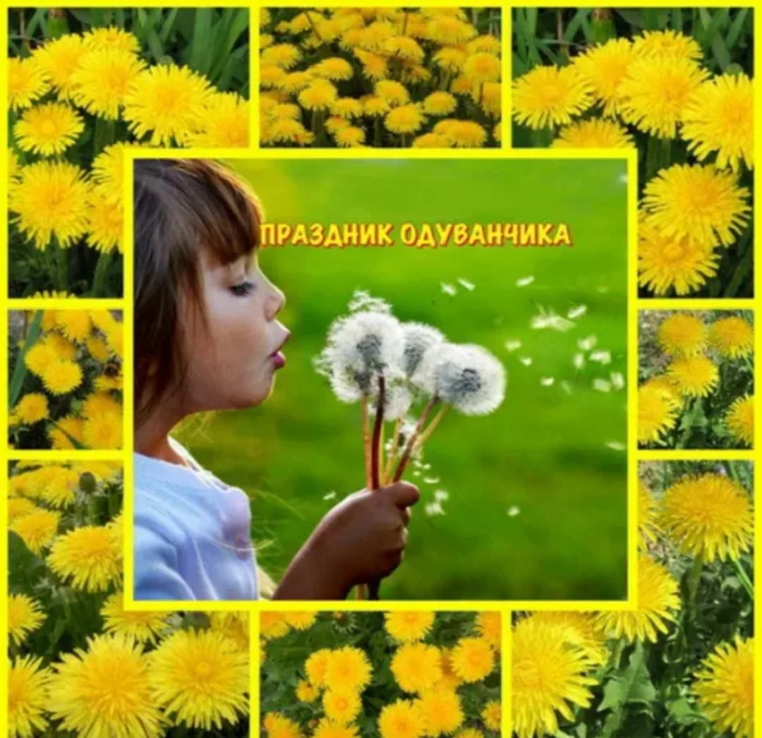 "День одуванчика" 🌼🌼🌼