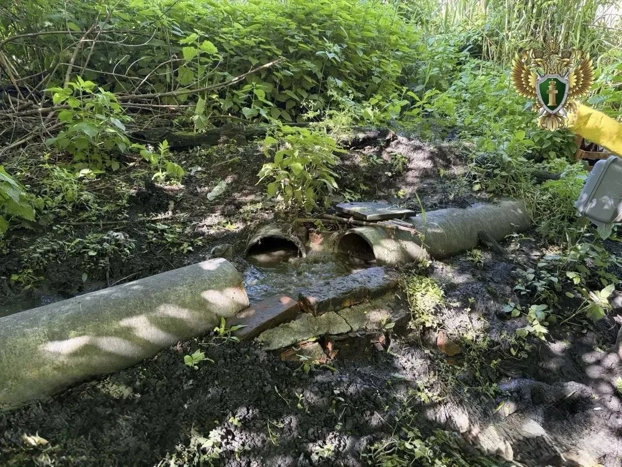 💧 На Ставрополье в приток Калауса сливали грязные стоки