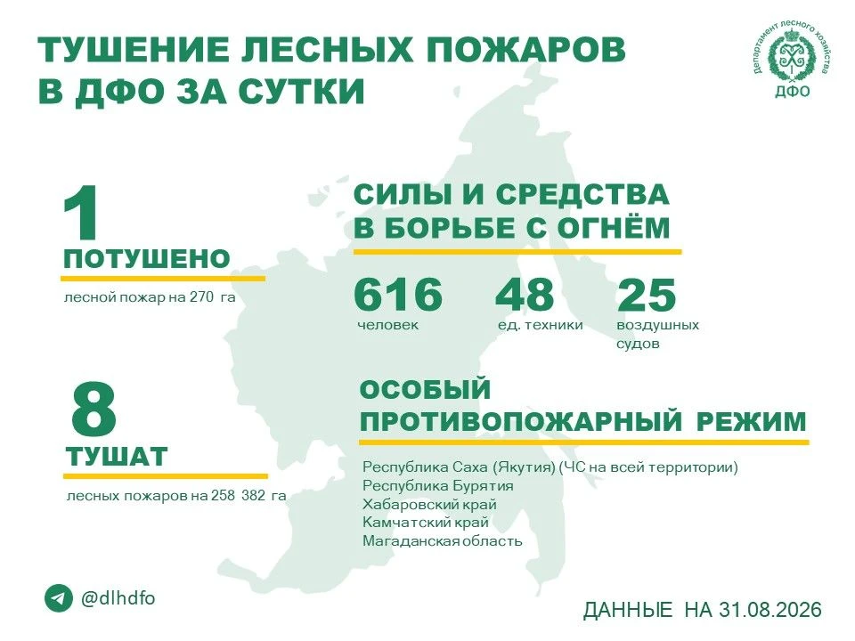 🧑‍🚒 За прошедшие сутки в регионах ДФО потушили 1 лесной пожар, продолжается тушение 8...