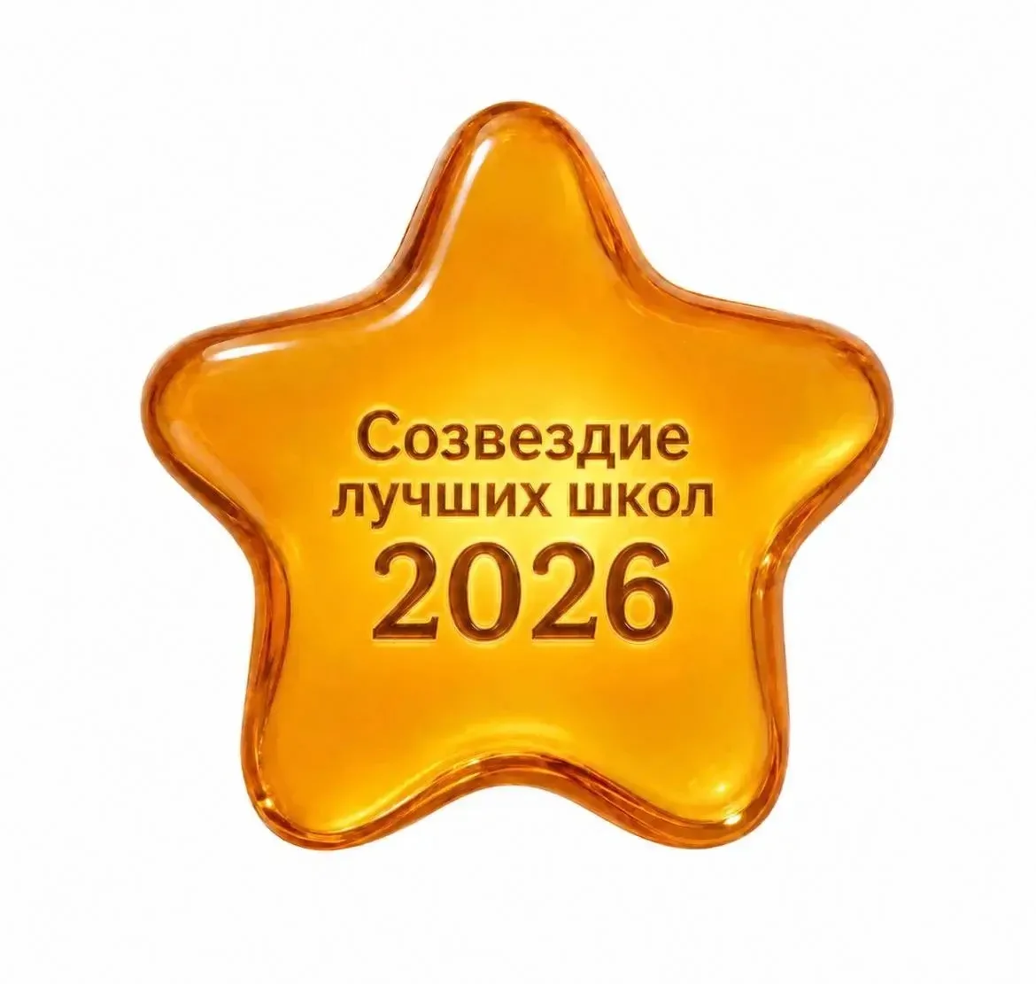 Подведены итоги проекта «Созвездие лучших школ» — независимой частной методики оценки к...