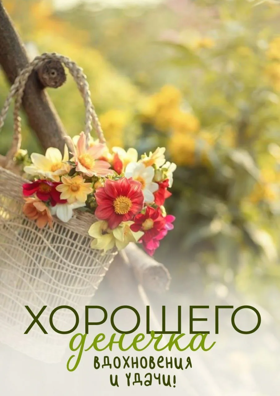 #хорошегодня