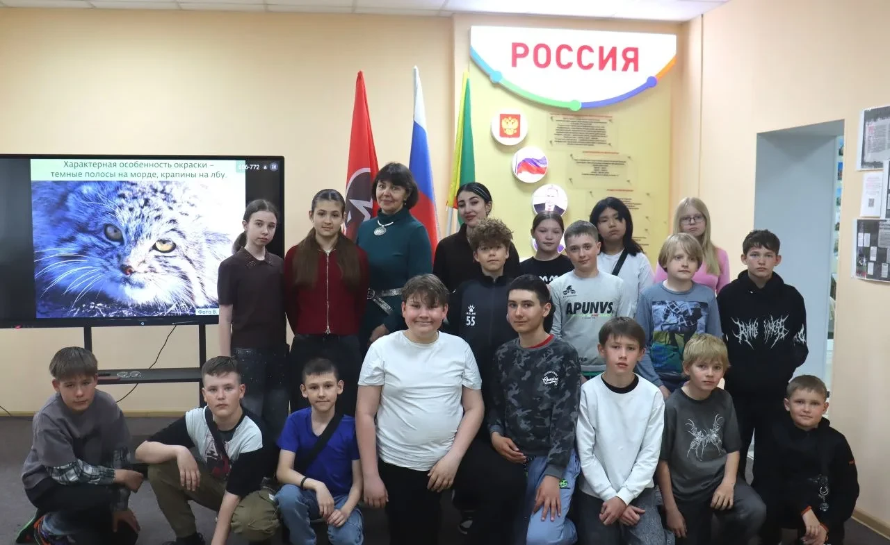 🐱 Кошки Забайкалья 🐱  ✨ Сегодня в Центре героико-патриотического воспитания «Дом юнармии г. Чита» пр