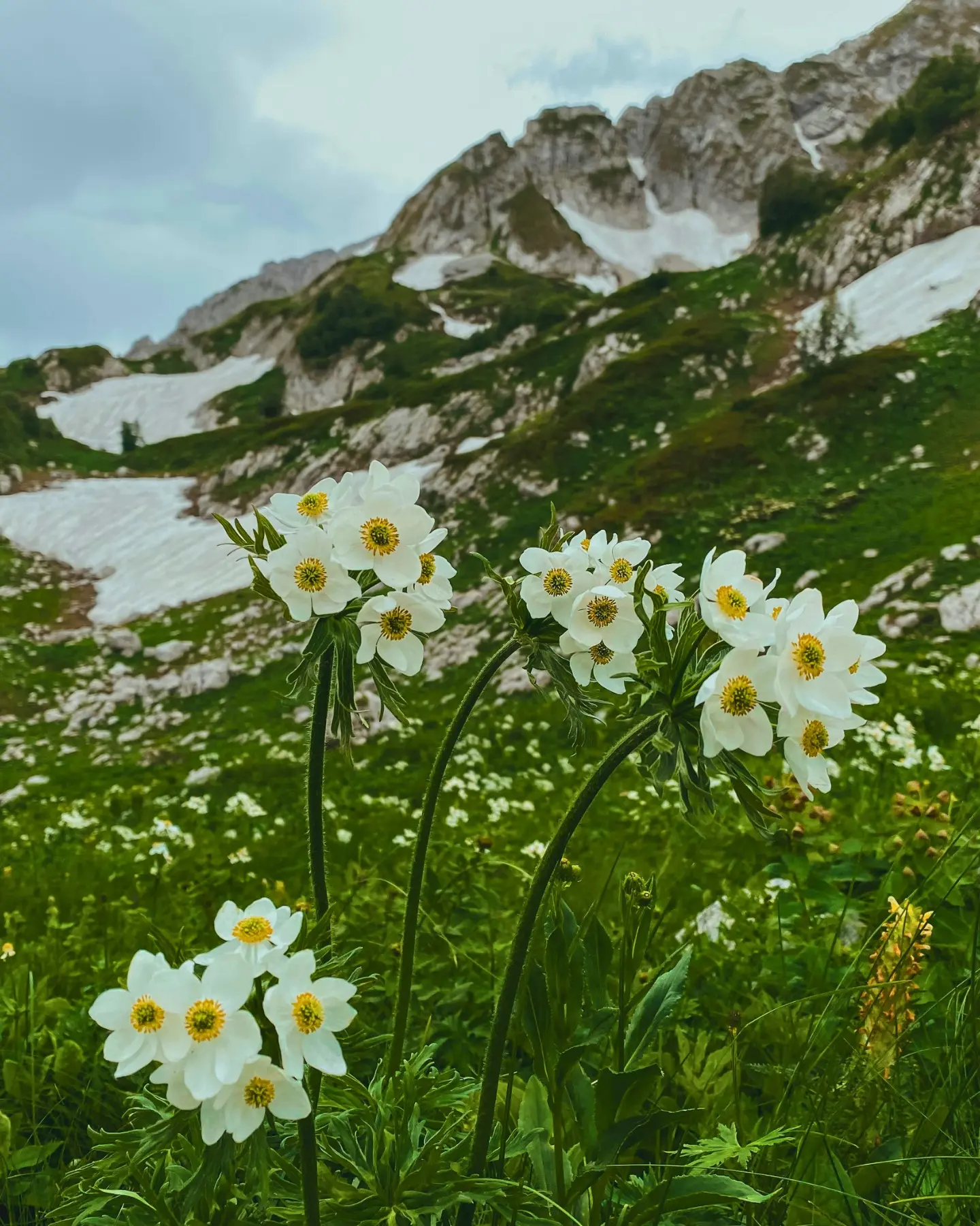 Сказочная Адыгея ⛰️🌷