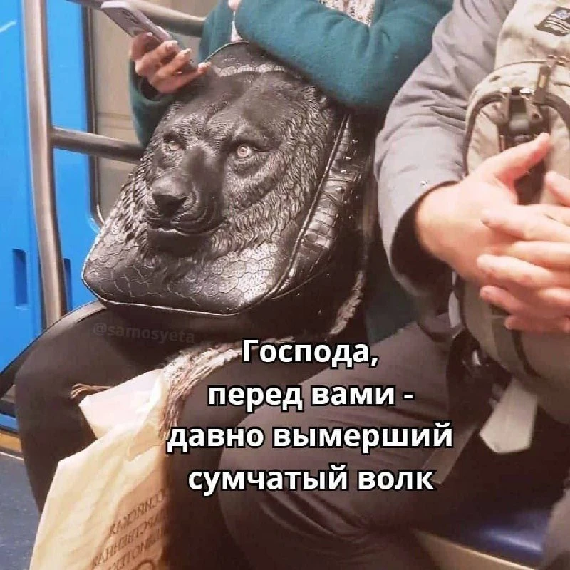 "Папа твой в посольстве служит дипломатом"©