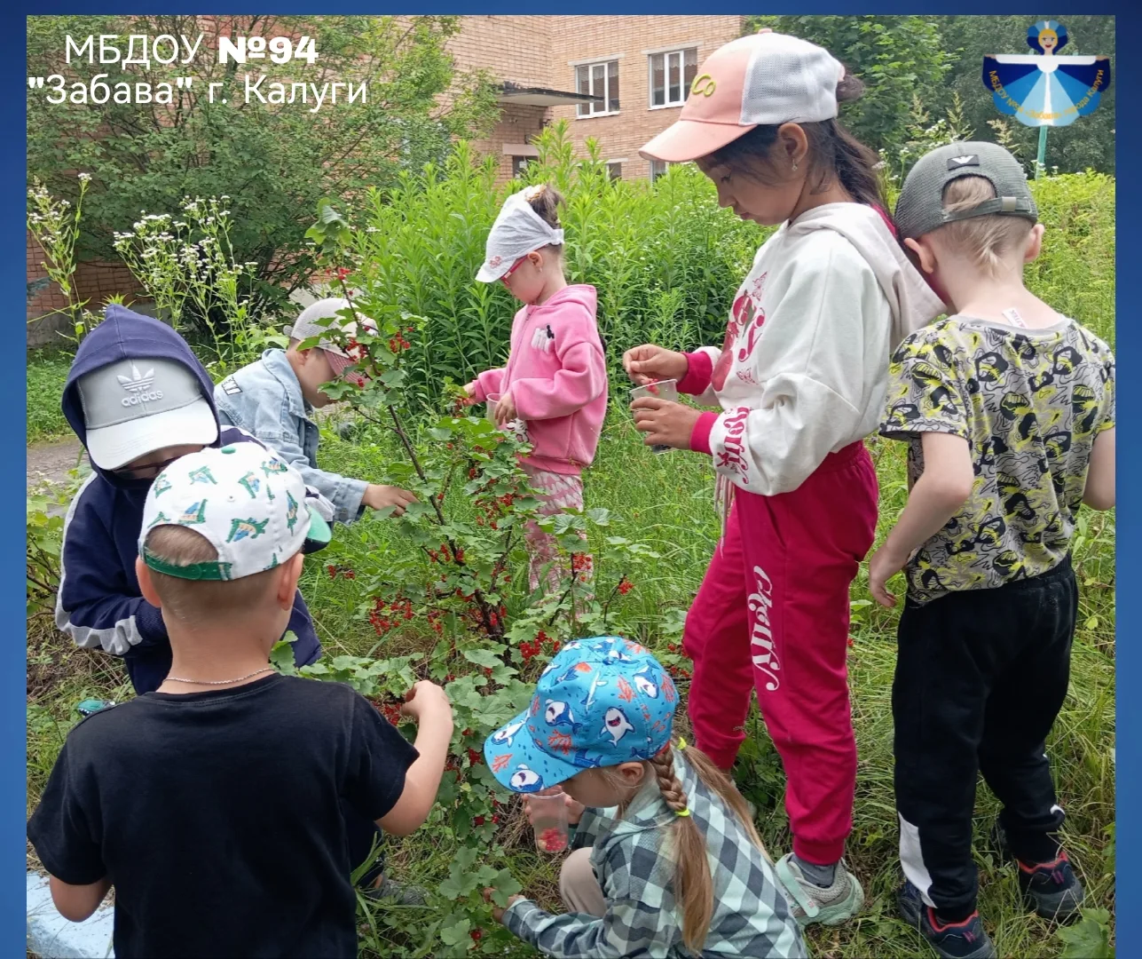 🍒🫐"ЯГОДНЫЙ КАЛЕЙДОСКОП🍓🍇

     ☀️ Солнечное лето - время сладких сочных и полезных ягод. 

     