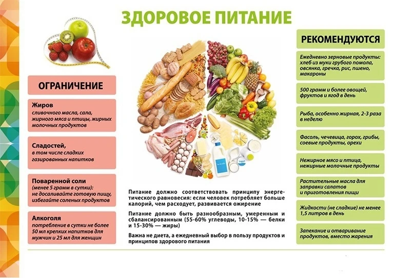 Здоровое питание - основные факты.