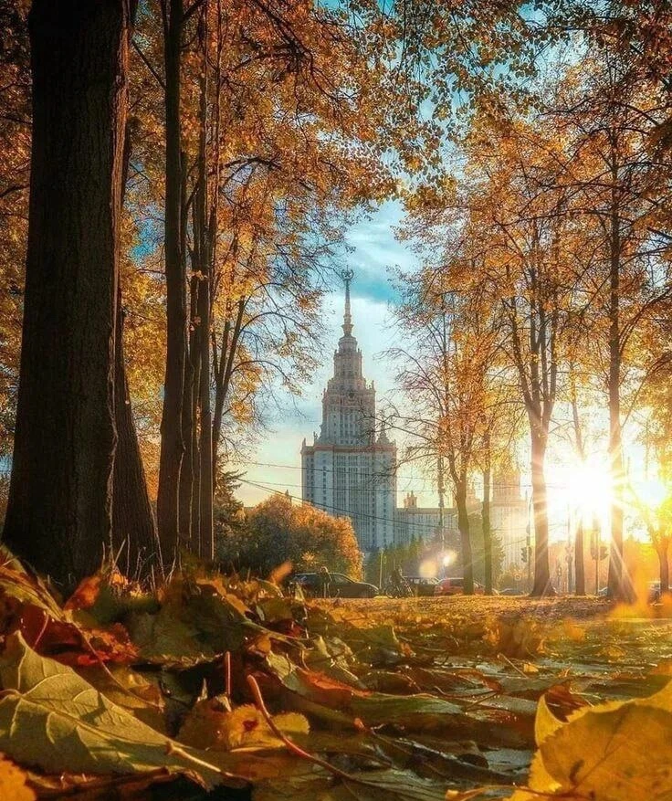 ☀️ Резкое потепление ждёт Москву в пятницу, будет до +18°C — «Фобос».