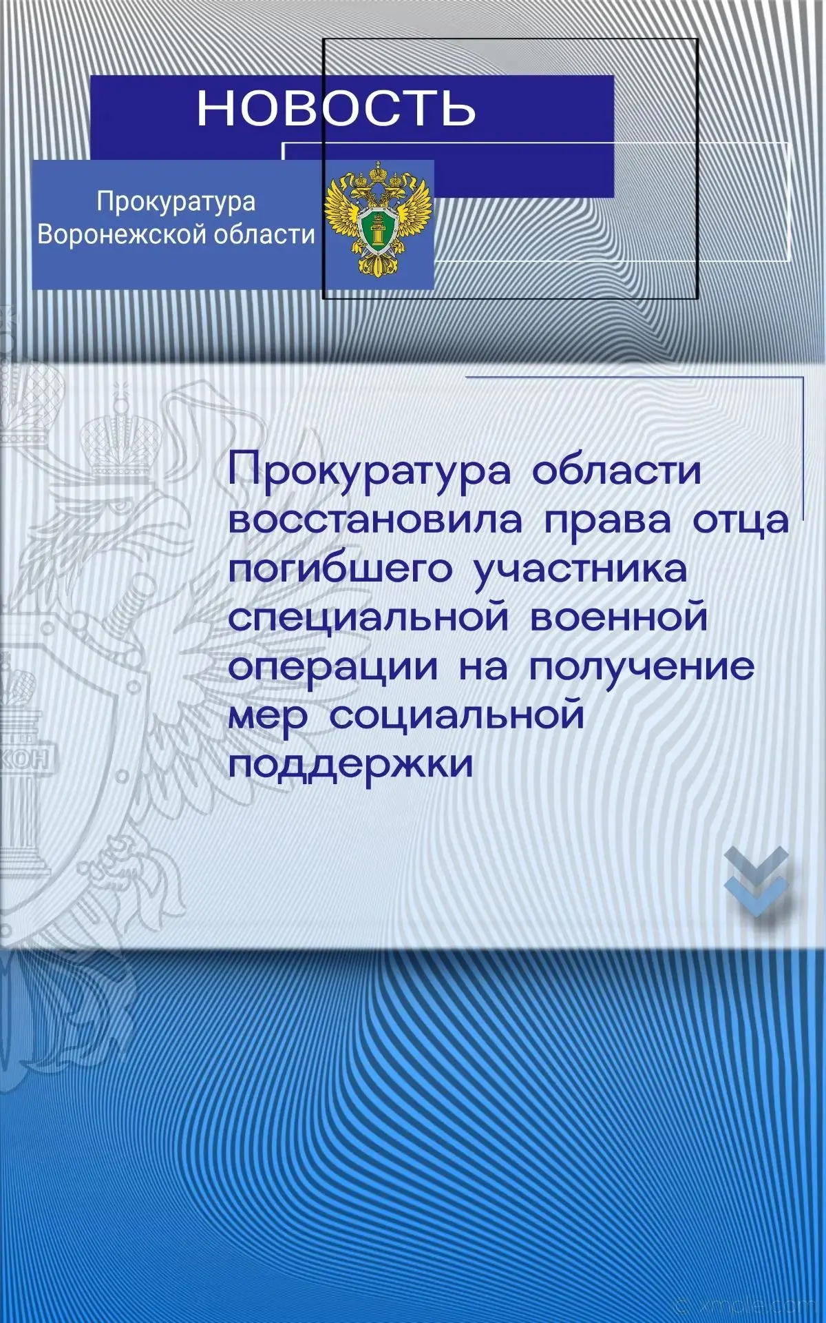 Вопросы соблюдения прав участников специальной военной операции и членов их семей на получение регио