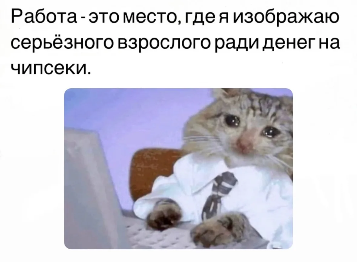 Так и живём