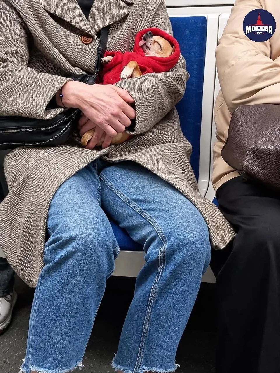 😅 Звание самого уставшего москвича забирает этот пассажир метро
