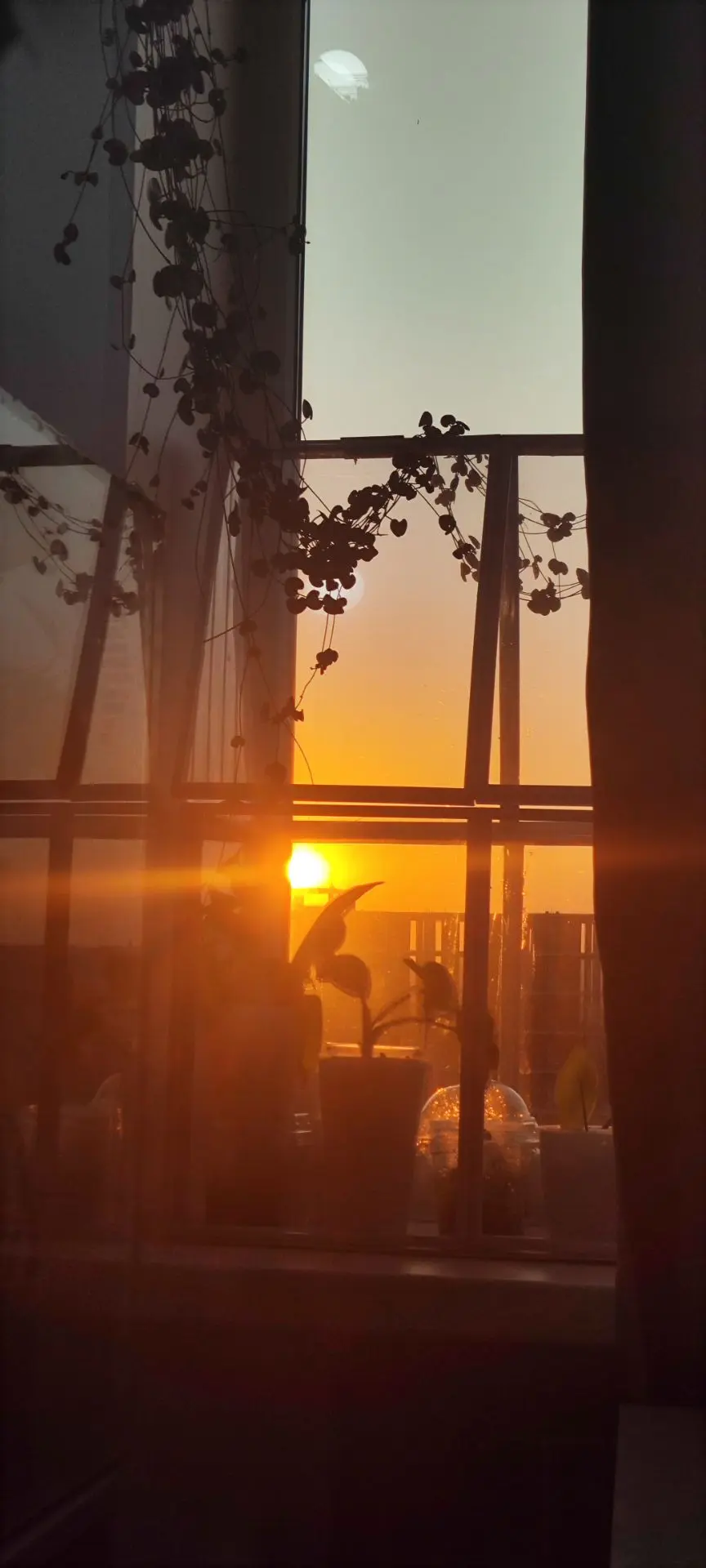 Сегодня красивейший закат 🤩