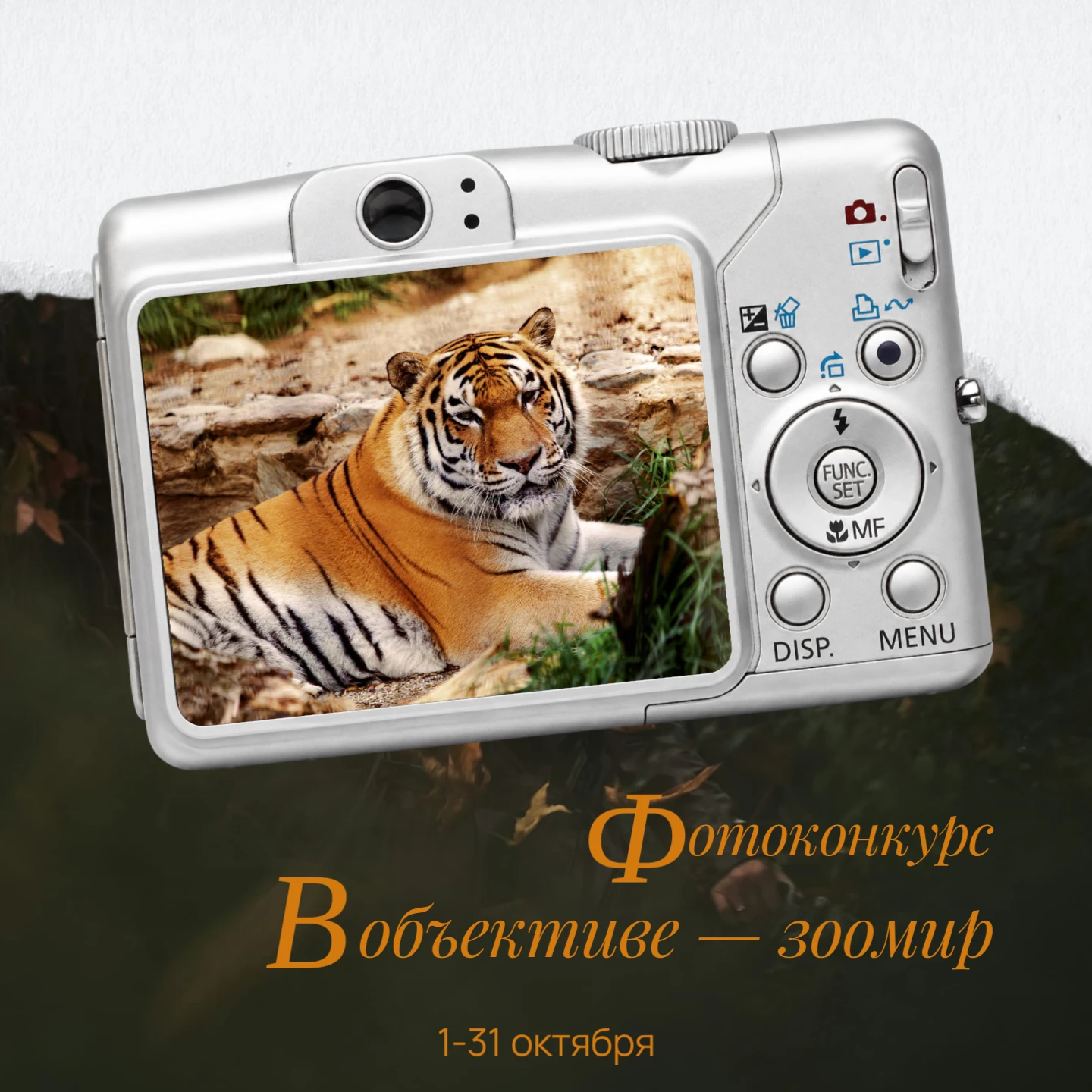 В объективе — зоомир