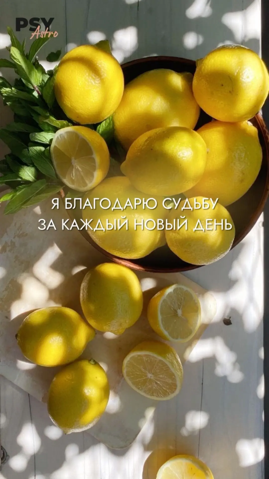 Порция мотивационных обоев на август для ваших гаджетов ✨