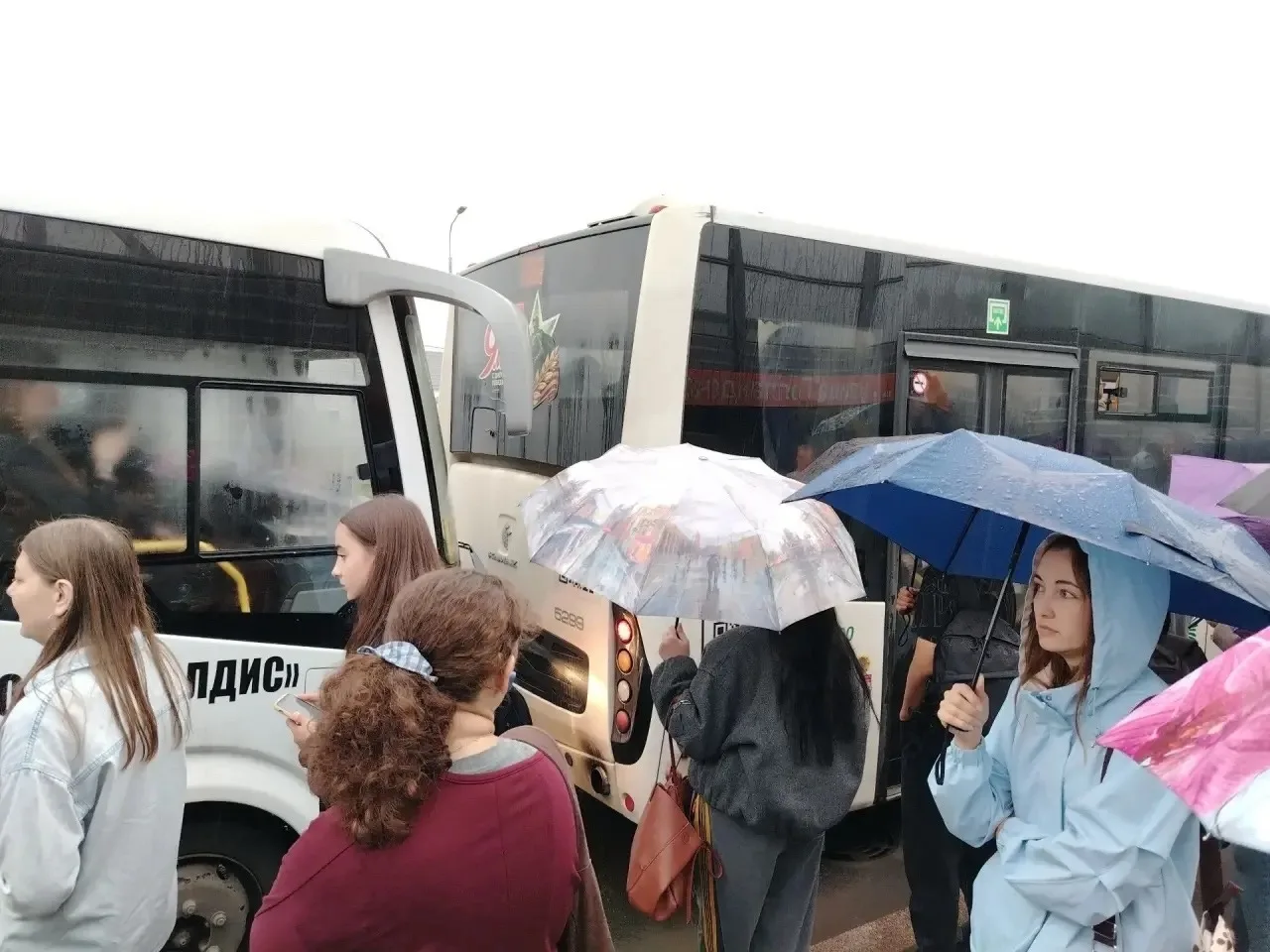 Осенняя пора — это не только желтые листья и романтика, это еще и 1 сентября. Дети пошл...
