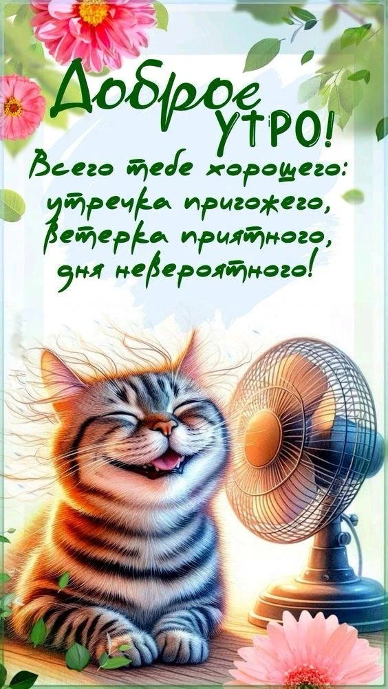 Доброе утро и хорошего дня! ☀️  Желаю удачного дня!  Я - Пенсионер✅