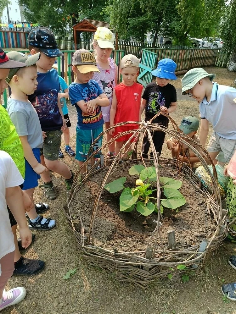 🌱 Весело и полезно: наш огород в детском саду! 🌾

Дорогие друзья и родители! 👦👧 Мы рады поделить
