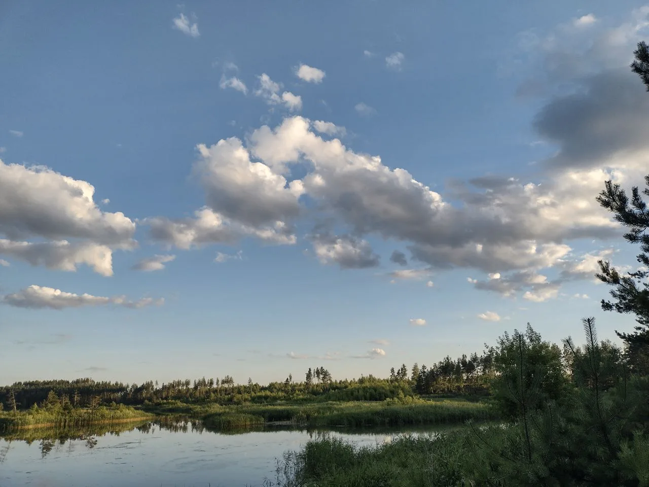 ⛅️ С добрым утром!

📍Луховицкое лесничество