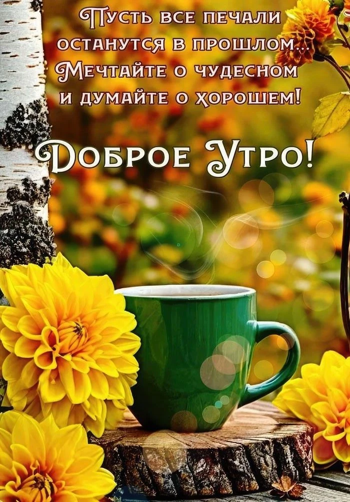 Доброго дня всем!