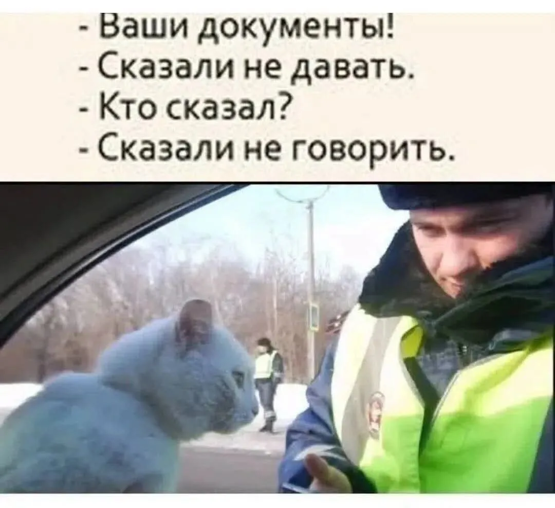 Подпишись на юмор 😂