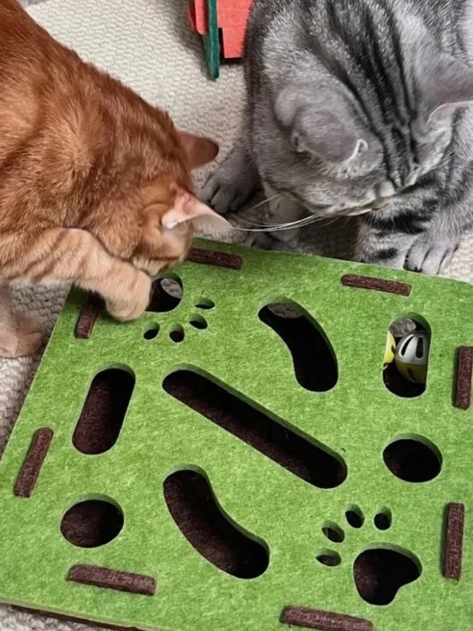Игрушки-головоломки для питомцев 🐾