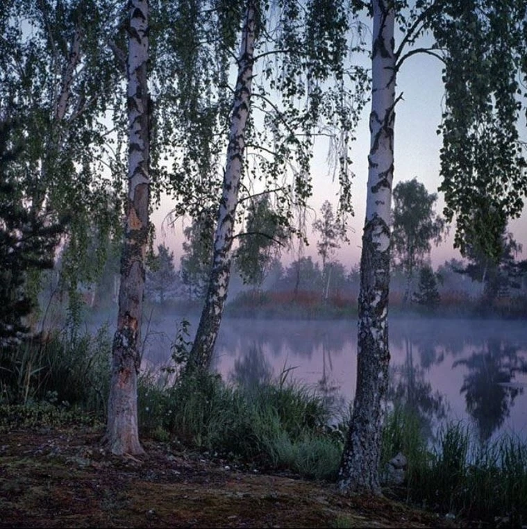 фотограф Сергей Чубаров

Уголок Душевного Тепла ❤️