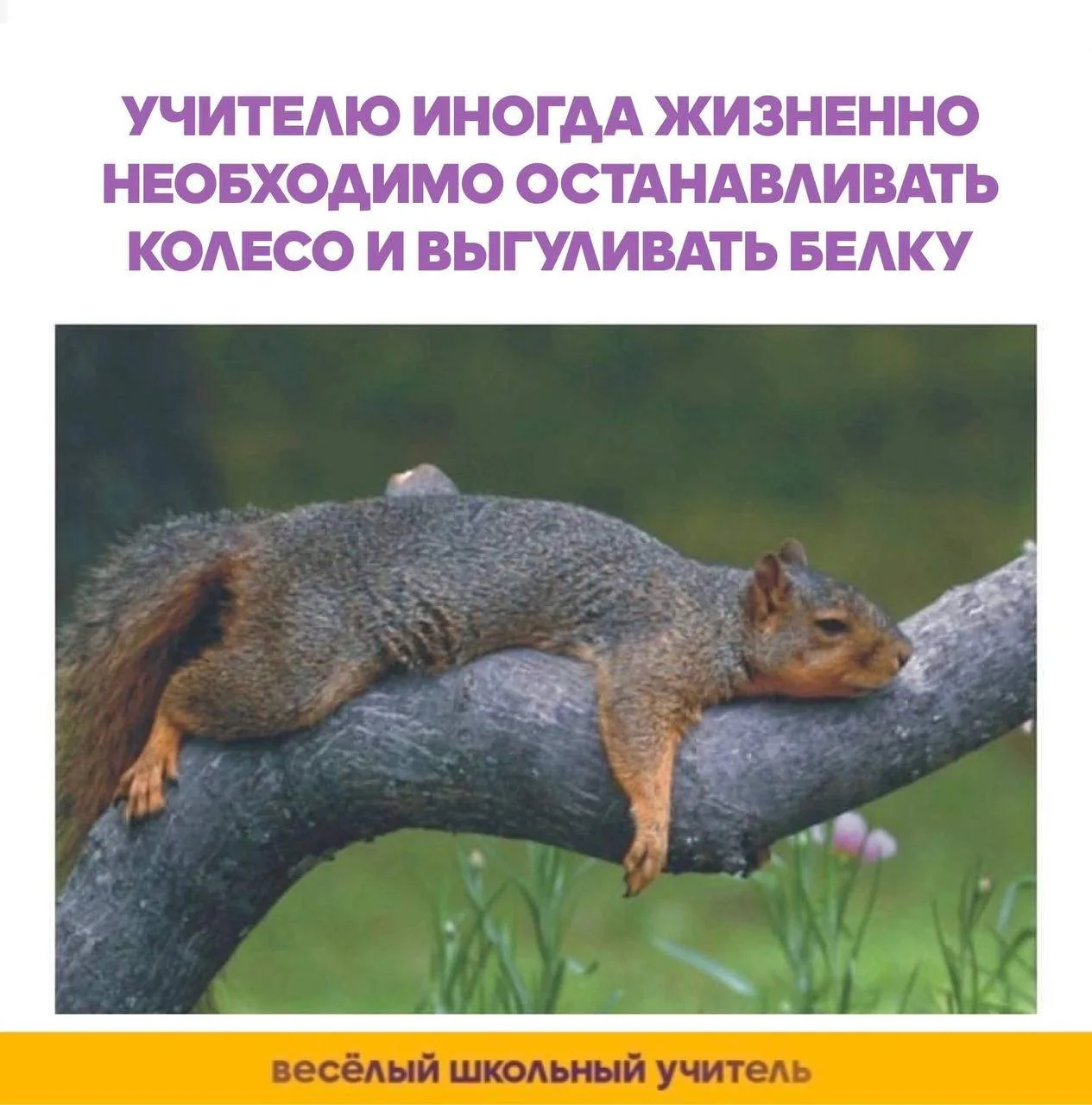 Еще один выходной день!