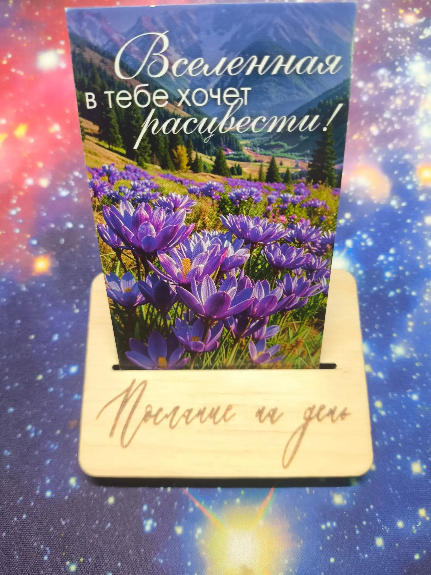 Послание на день