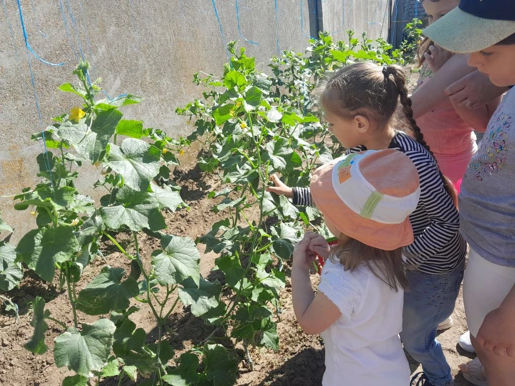 Сегодня в Ульяновском ясли-саду «Ромашка» царила по-настоящему летняя, зелёная атмосфер...