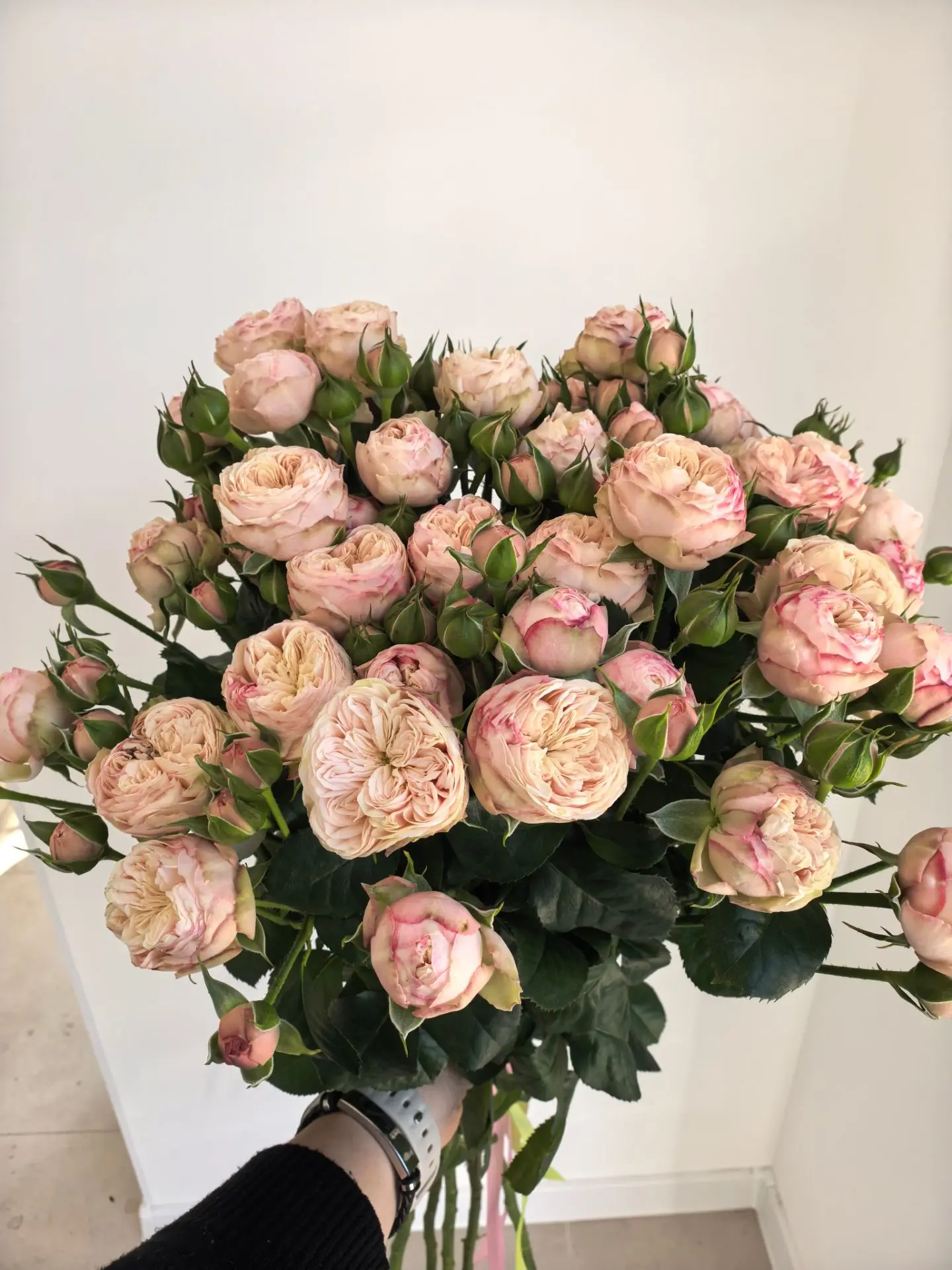 Букет из 7 веток пионовидных роз 🌹🌹🌹