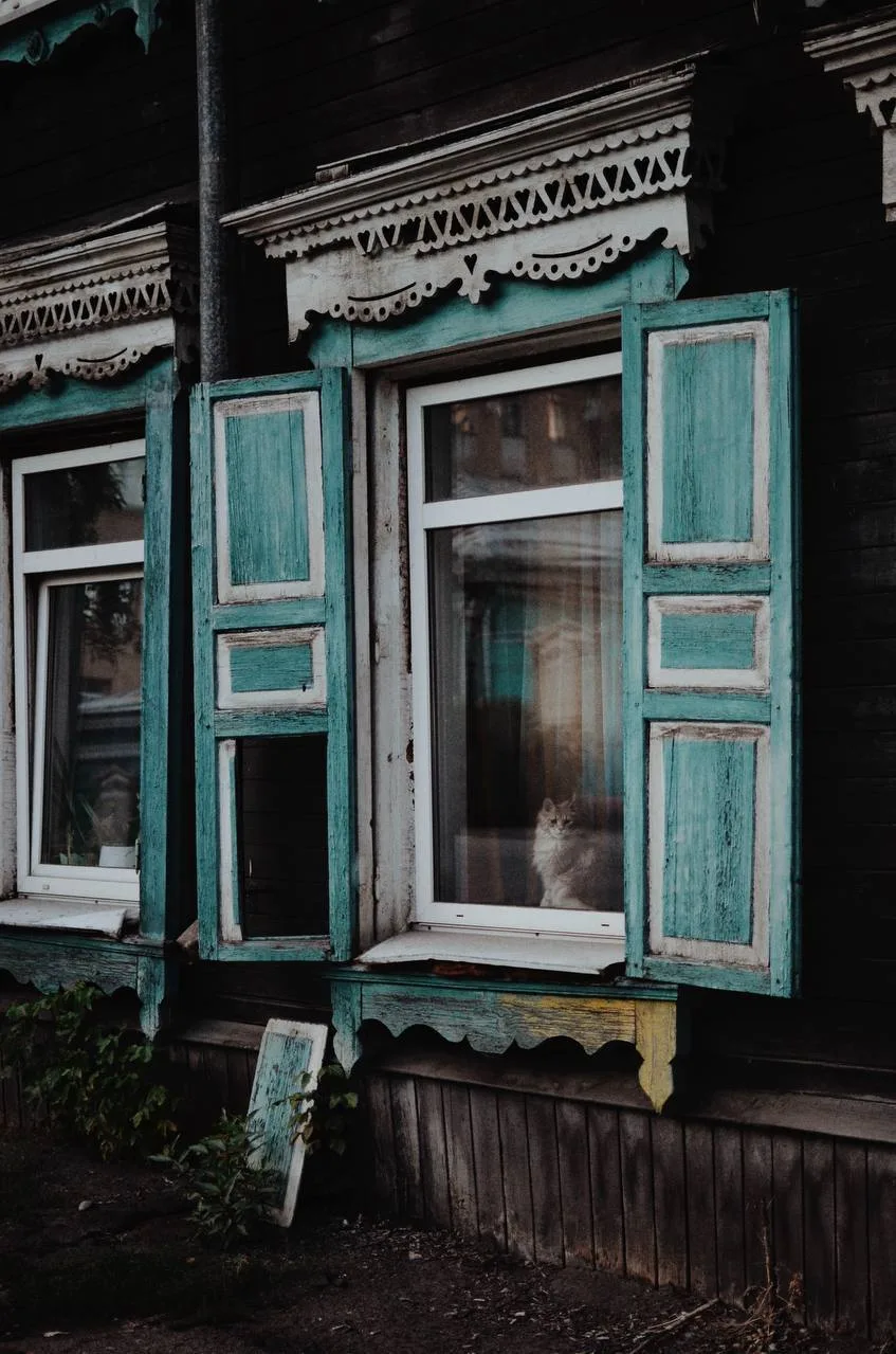 И в каждом окне в Иркутске - своя жизнь и свои жители...🐈