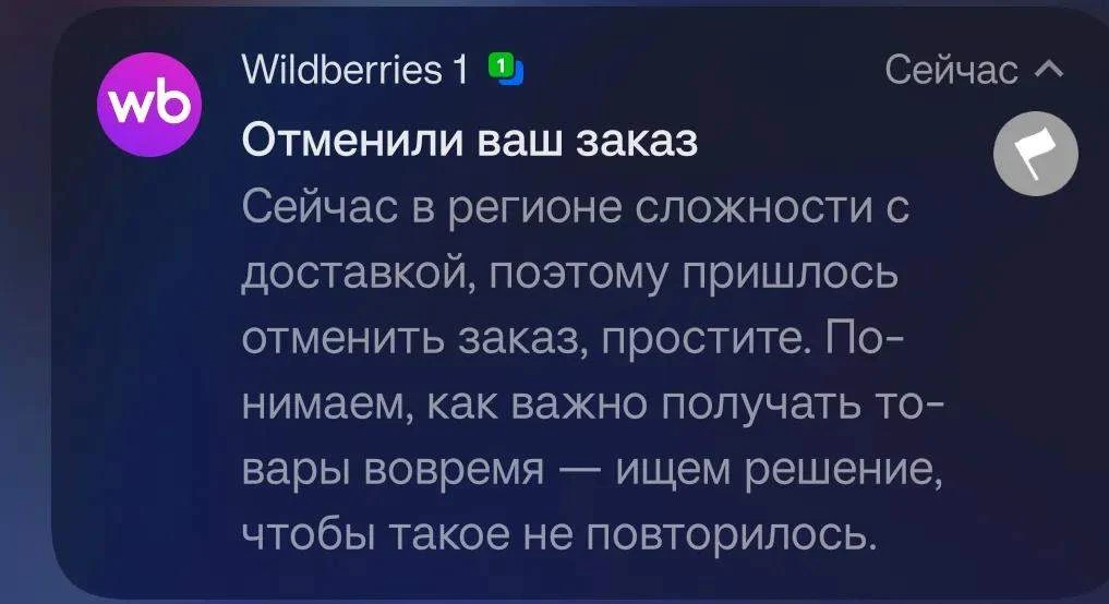 Wildberries начал отменять заказы в России.
