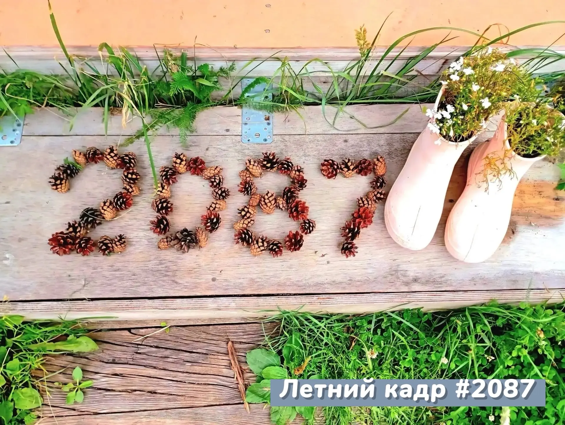 📸 Объявляем победителя школьного фотоконкурса «Летний кадр #2087» на этой неделе на тему «Наши родн