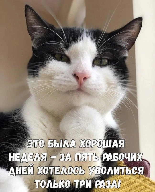 Открытки: подписаться ❤️