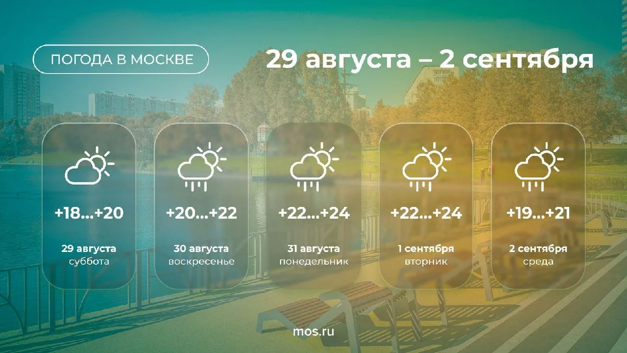 Делюсь с вами прогнозом погоды!