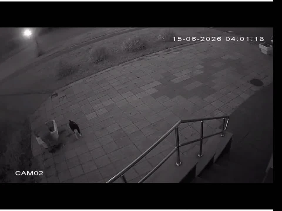 Озёрские бабули продолжают воровать цветы на клумбах

Ребят, их не остановить! Одни озерчане старают