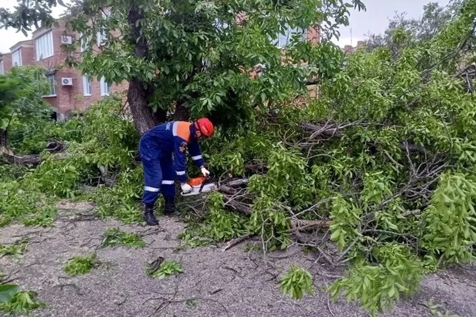 Стихия продолжает бушевать на Кубани   Из-за сильного ветра и ливней в регионе падают деревья, места