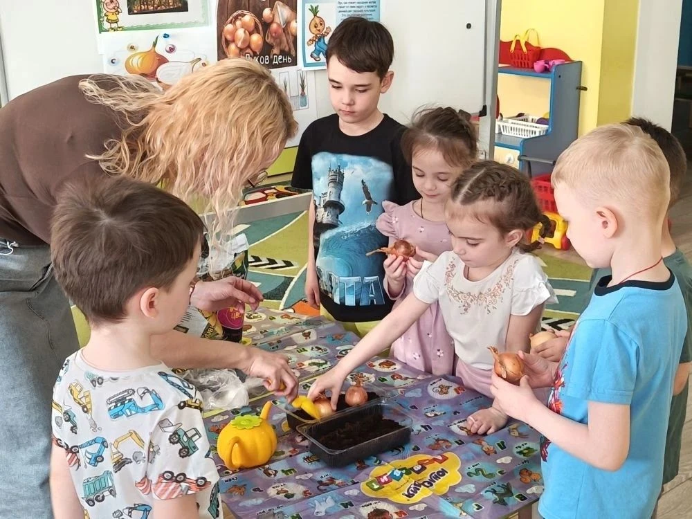 Огород на подоконнике: маленькие чудеса в детских садах Курска  На подоконниках детского сада № 85 р