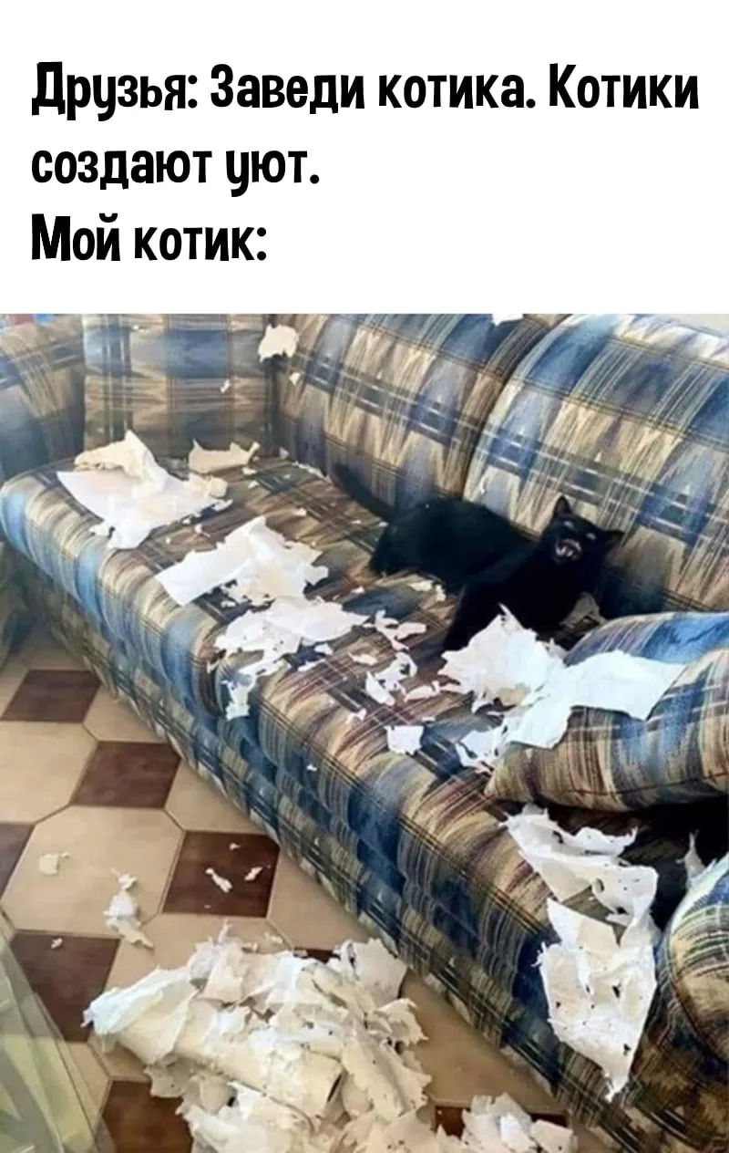 😂😂😂