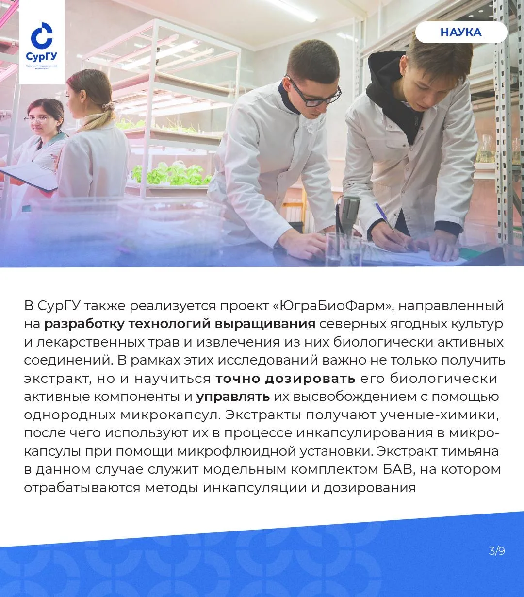 Микрокапсулы для точной медицины: ученые исследуют новые технологии доставки лекарств  Современная м