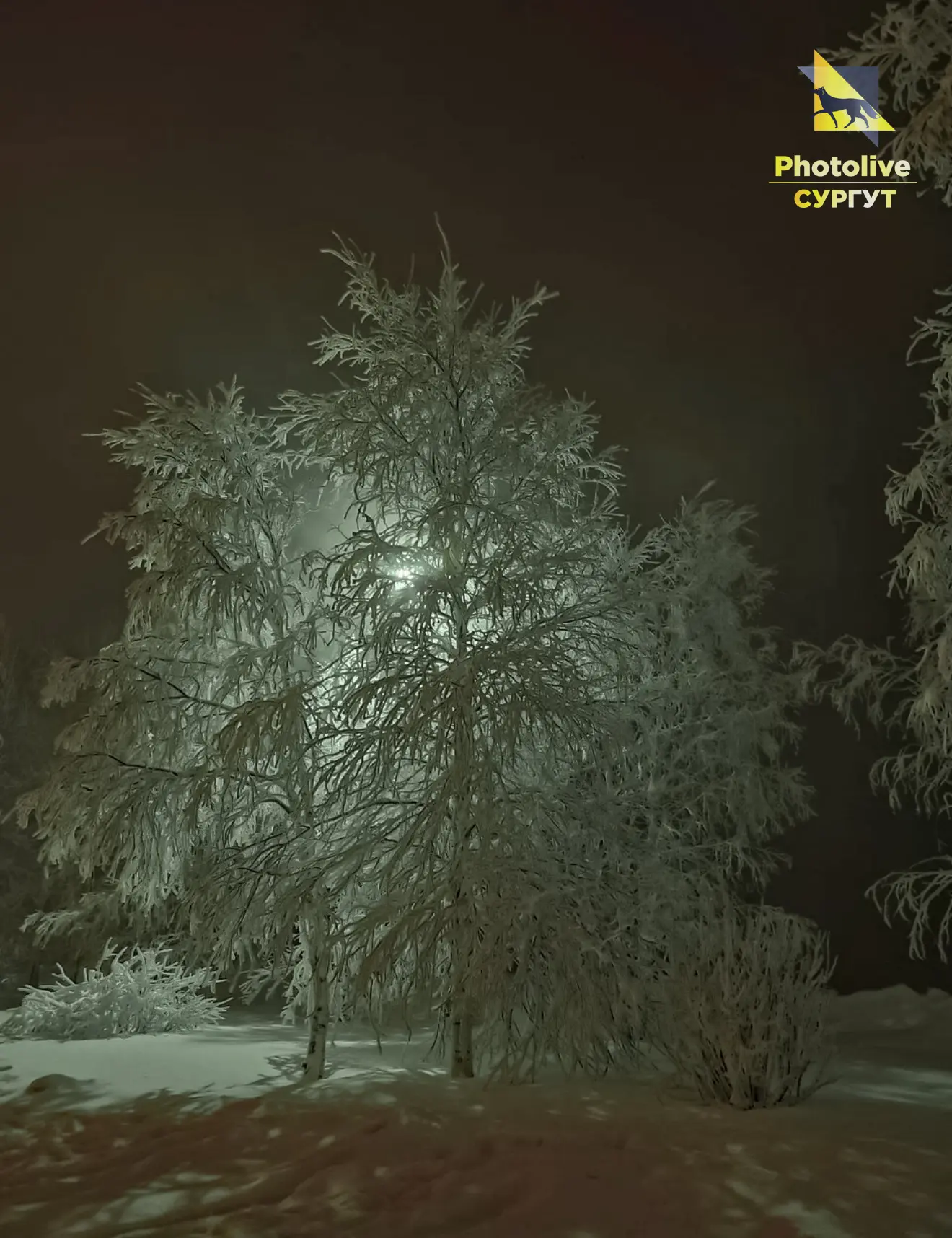 Синоптики не шутят: температура летит вниз, готовьтесь к -35°C. Режим «самого тёплого п...