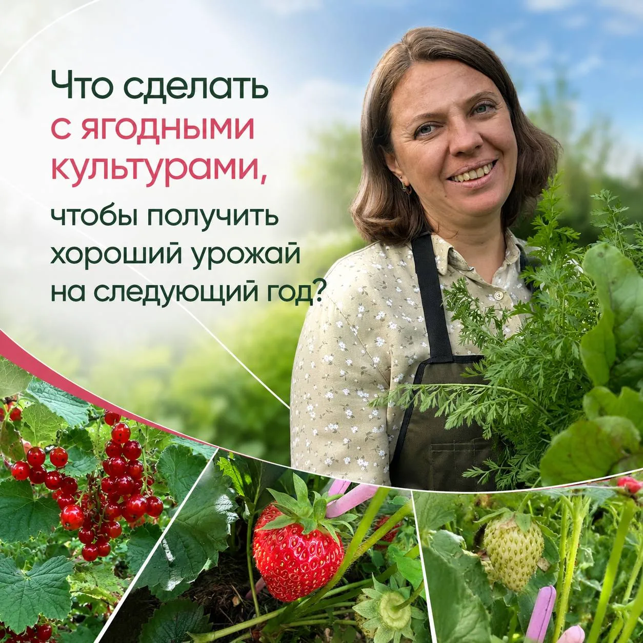 Друзья, приглашаем вас на следующее онлайн-занятие Летнего Лектория!

Что сделать с ягодными культур
