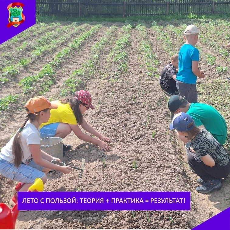 🌿 Лето с пользой: теория + практика = результат!