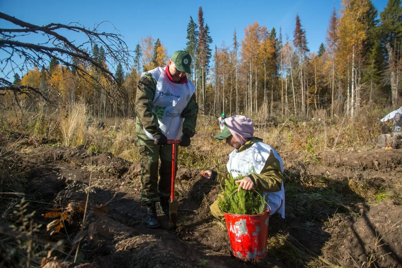 🌱 42 тысячи сеянцев сосны высадят на центральном мероприятии акции «Сохраним лес» в Уд...
