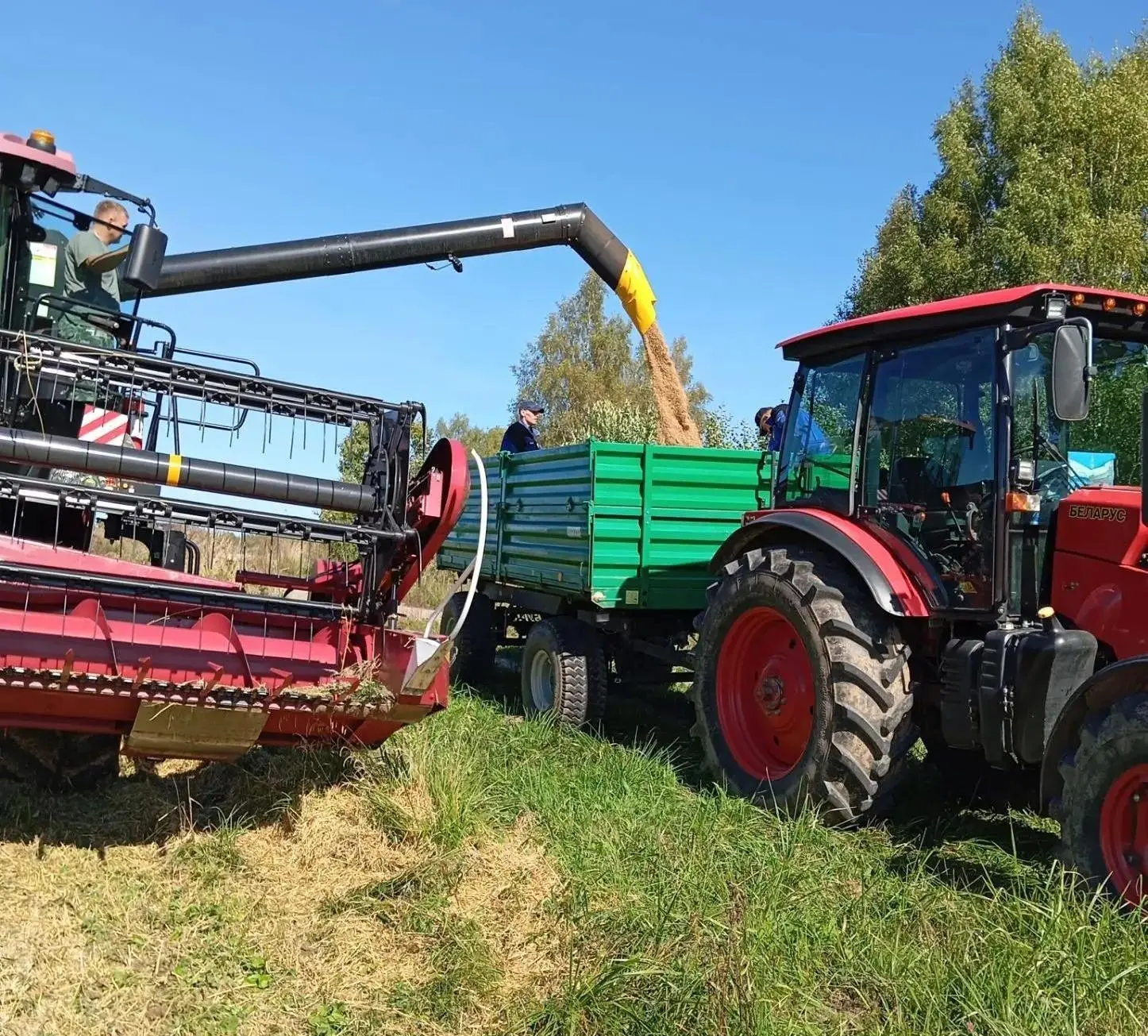 В Темкинском округе идёт уборка урожая! 🚜