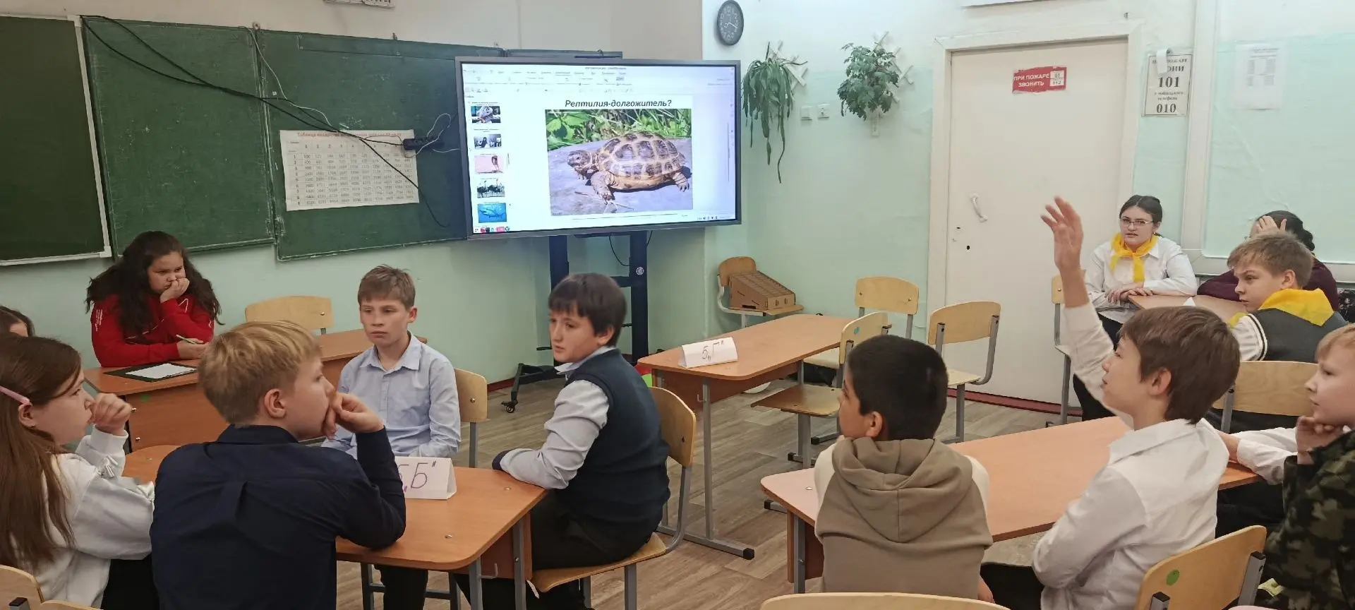 🐾 КВИЗ «Уши, лапы и хвосты»: Играем за тех, кто не может сказать словами