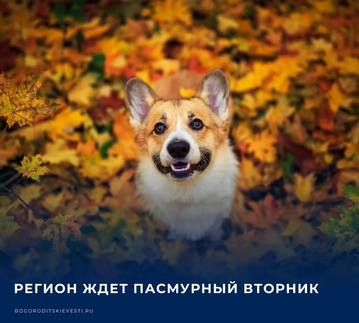 ☁️ +13°C с утра до ночи​