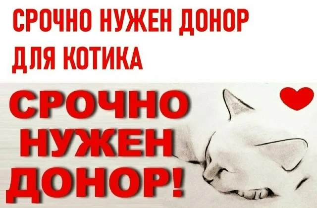 Здравствуйте, на данный момент мне очень нужна помощь.