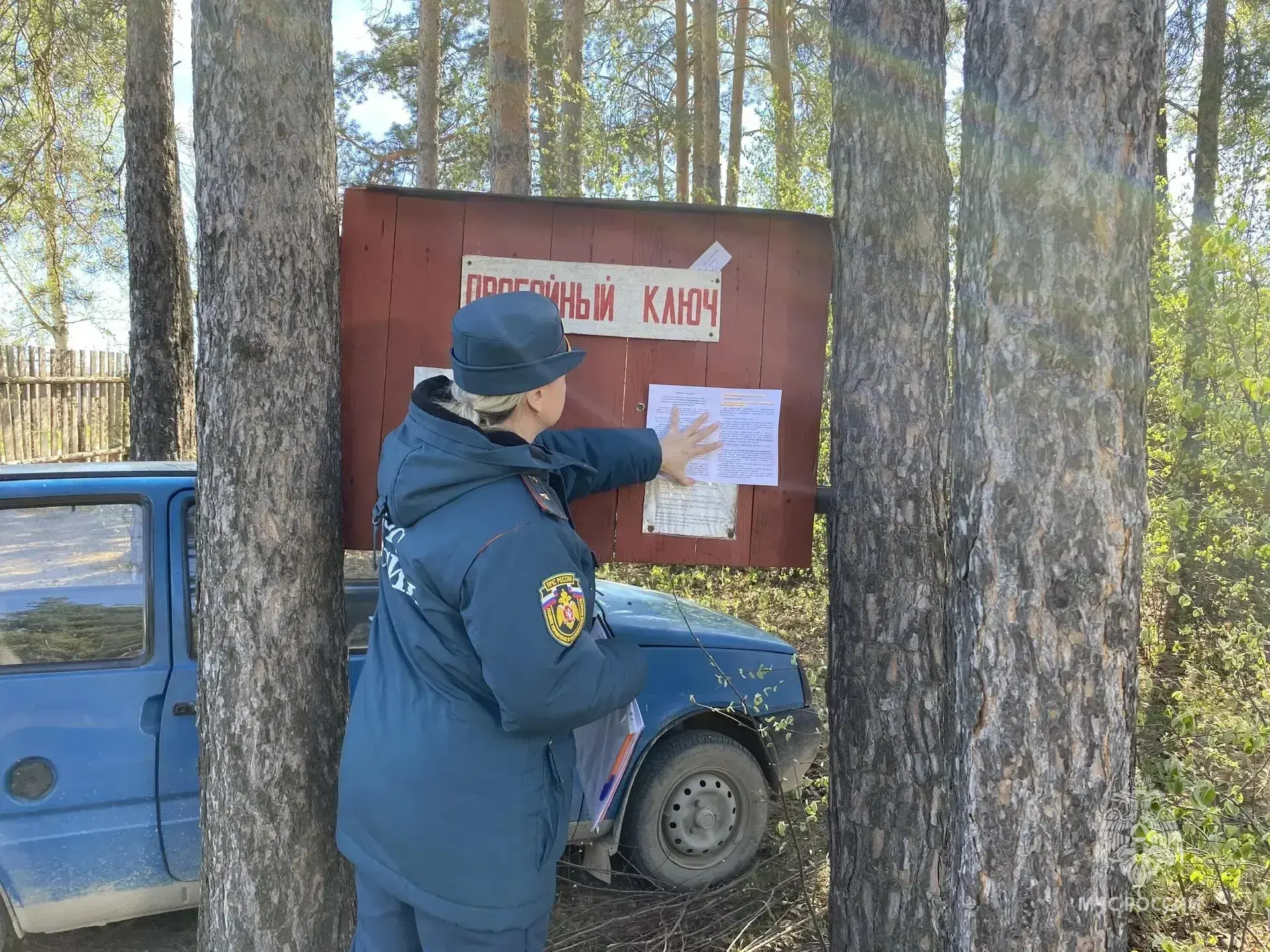 📊Итоги недели: работа патрульных групп  Патрульно-контрольные группы провели масштабные проверки соб