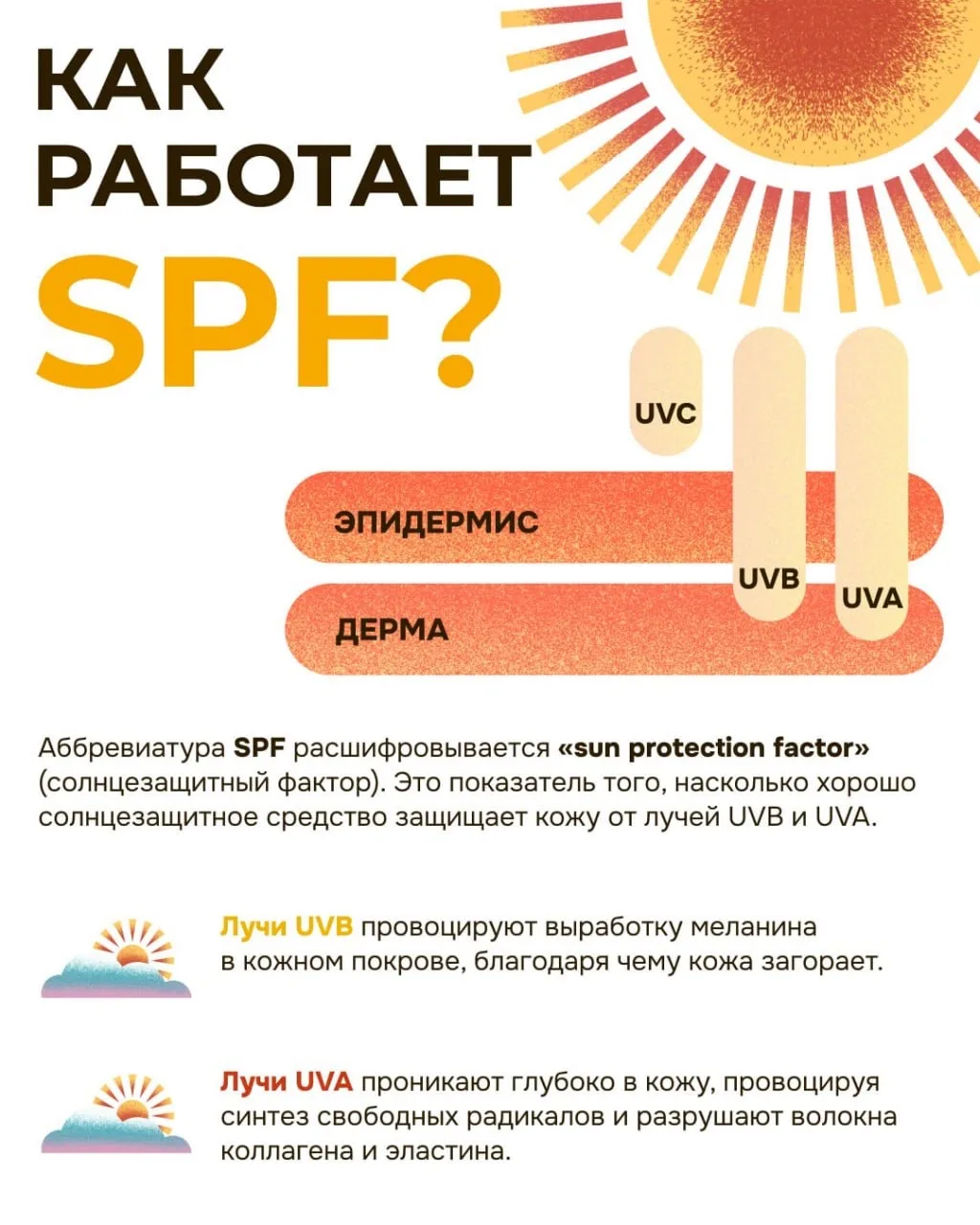 САМЫЙ важный гайд по SPF