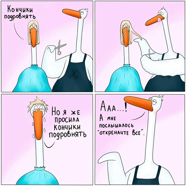 Подпишись, чтобы не потерять👇
Тёплый гусь• Юмор